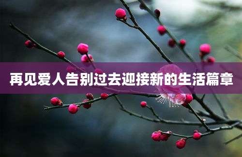 再见爱人告别过去迎接新的生活篇章