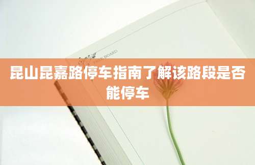 昆山昆嘉路停车指南了解该路段是否能停车