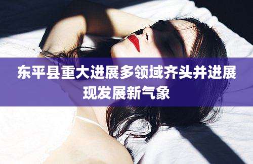 东平县重大进展多领域齐头并进展现发展新气象