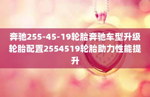 奔驰255-45-19轮胎奔驰车型升级轮胎配置2554519轮胎助力性能提升