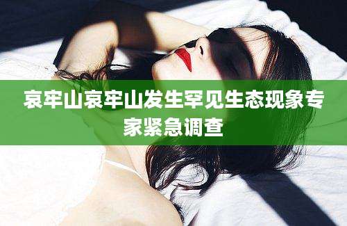 哀牢山哀牢山发生罕见生态现象专家紧急调查