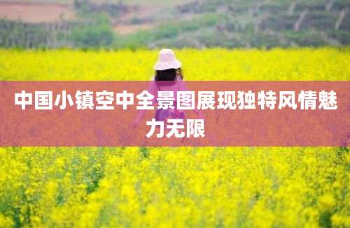 中国小镇空中全景图展现独特风情魅力无限