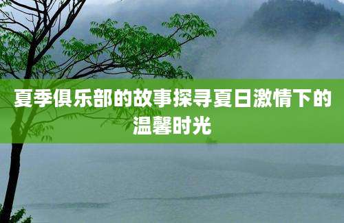 夏季俱乐部的故事探寻夏日激情下的温馨时光