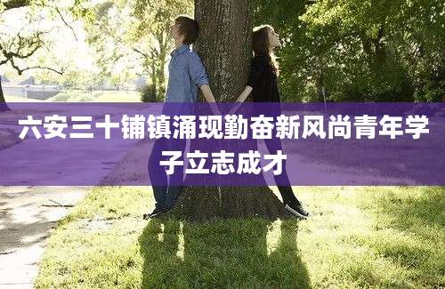 六安三十铺镇涌现勤奋新风尚青年学子立志成才