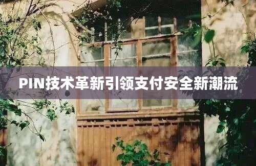 PIN技术革新引领支付安全新潮流
