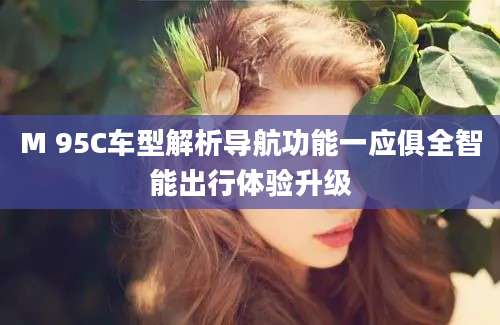 M 95C车型解析导航功能一应俱全智能出行体验升级