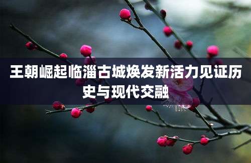 王朝崛起临淄古城焕发新活力见证历史与现代交融