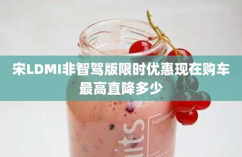 宋LDMI非智驾版限时优惠现在购车最高直降多少