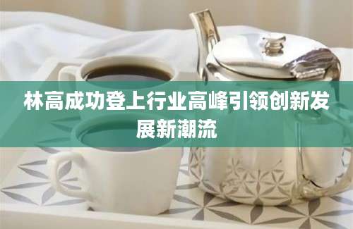 林高成功登上行业高峰引领创新发展新潮流