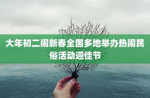 大年初二闹新春全国多地举办热闹民俗活动迎佳节