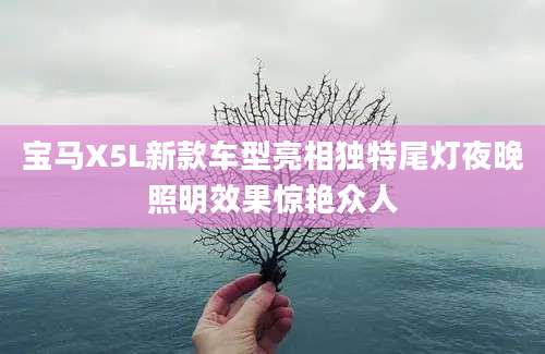 宝马X5L新款车型亮相独特尾灯夜晚照明效果惊艳众人