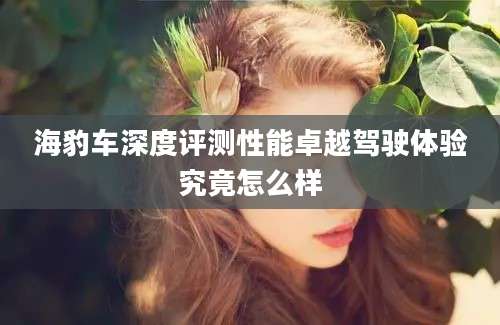 海豹车深度评测性能卓越驾驶体验究竟怎么样