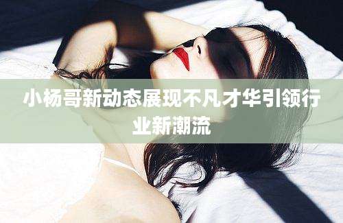 小杨哥新动态展现不凡才华引领行业新潮流