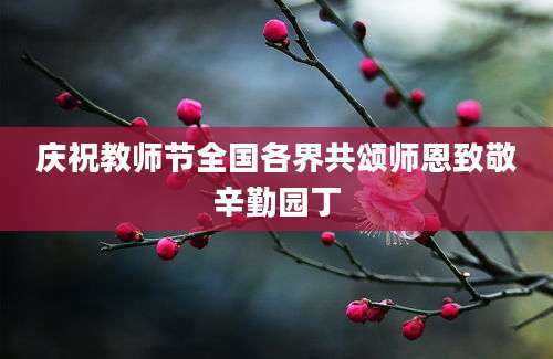 庆祝教师节全国各界共颂师恩致敬辛勤园丁