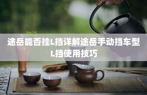 途岳能否挂L挡详解途岳手动挡车型L挡使用技巧