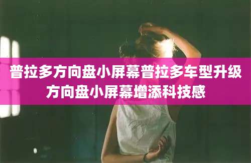普拉多方向盘小屏幕普拉多车型升级方向盘小屏幕增添科技感