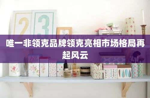 唯一非领克品牌领克亮相市场格局再起风云
