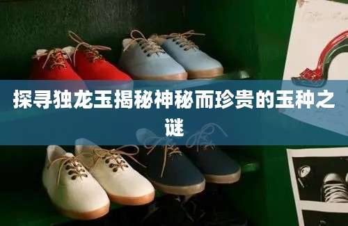探寻独龙玉揭秘神秘而珍贵的玉种之谜