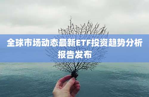 全球市场动态最新ETF投资趋势分析报告发布