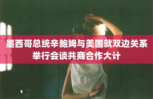 墨西哥总统辛鲍姆与美国就双边关系举行会谈共商合作大计