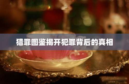 猎罪图鉴揭开犯罪背后的真相