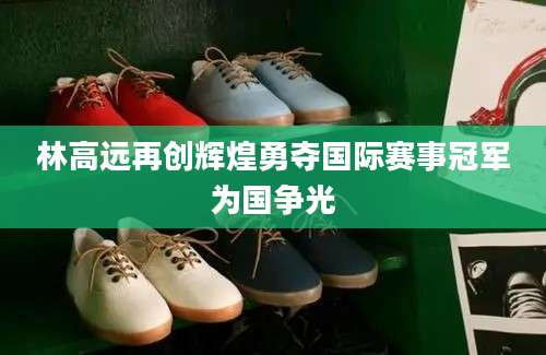 林高远再创辉煌勇夺国际赛事冠军为国争光