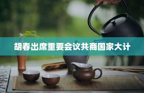 胡春出席重要会议共商国家大计