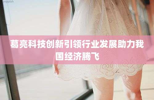 葛亮科技创新引领行业发展助力我国经济腾飞