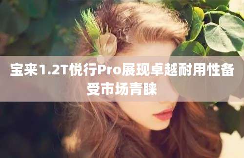 宝来1.2T悦行Pro展现卓越耐用性备受市场青睐