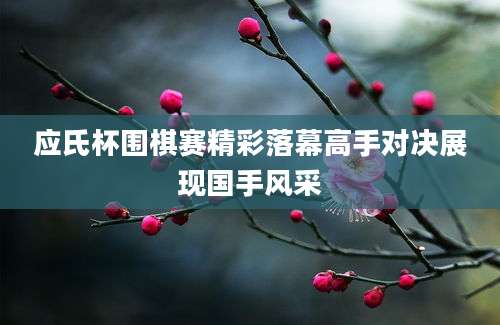 应氏杯围棋赛精彩落幕高手对决展现国手风采