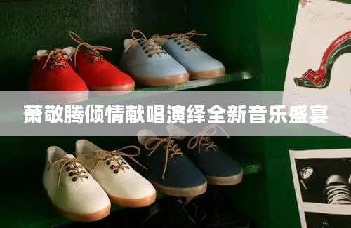萧敬腾倾情献唱演绎全新音乐盛宴