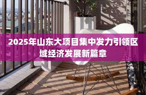 2025年山东大项目集中发力引领区域经济发展新篇章