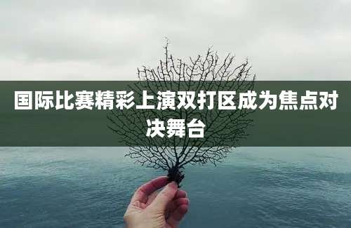 国际比赛精彩上演双打区成为焦点对决舞台