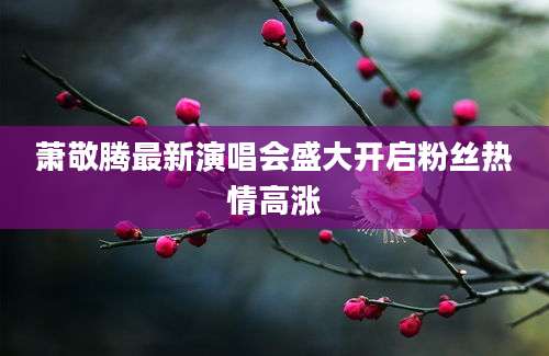 萧敬腾最新演唱会盛大开启粉丝热情高涨