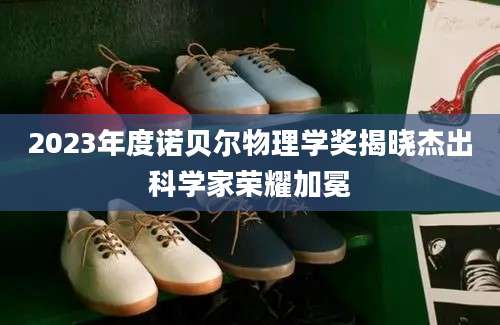 2023年度诺贝尔物理学奖揭晓杰出科学家荣耀加冕
