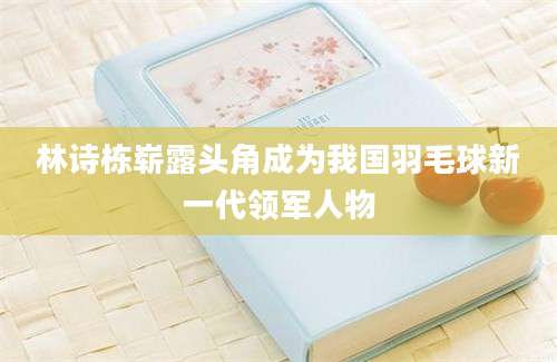 林诗栋崭露头角成为我国羽毛球新一代领军人物