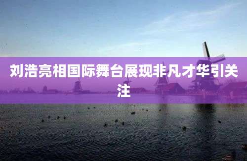 刘浩亮相国际舞台展现非凡才华引关注