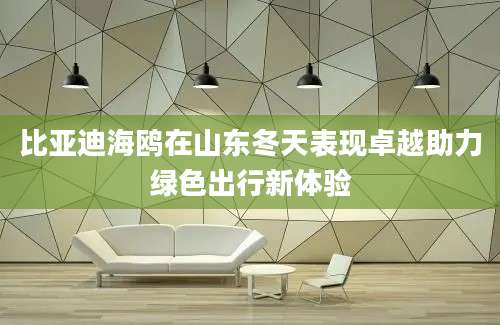 比亚迪海鸥在山东冬天表现卓越助力绿色出行新体验
