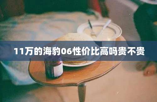 11万的海豹06性价比高吗贵不贵