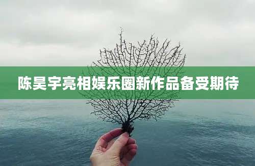 陈昊宇亮相娱乐圈新作品备受期待
