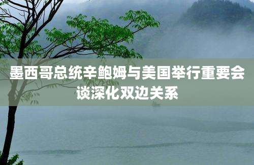 墨西哥总统辛鲍姆与美国举行重要会谈深化双边关系