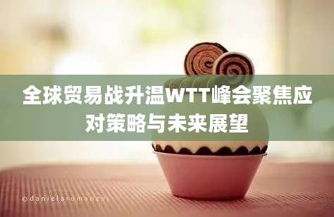 全球贸易战升温WTT峰会聚焦应对策略与未来展望