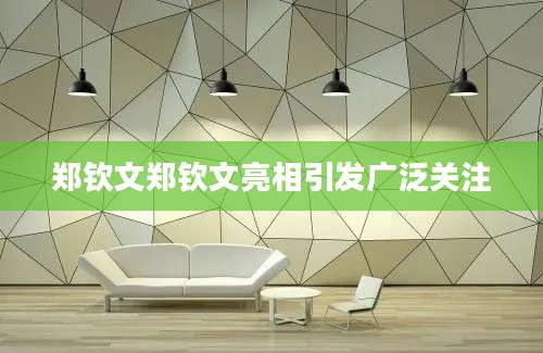 郑钦文郑钦文亮相引发广泛关注