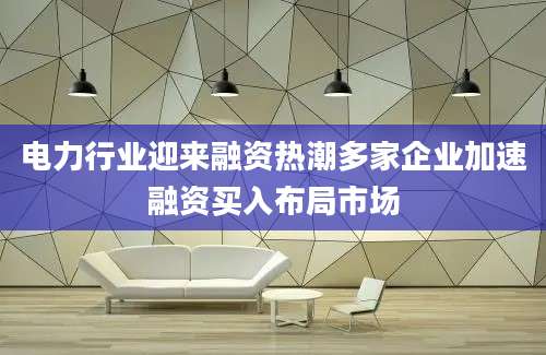 电力行业迎来融资热潮多家企业加速融资买入布局市场
