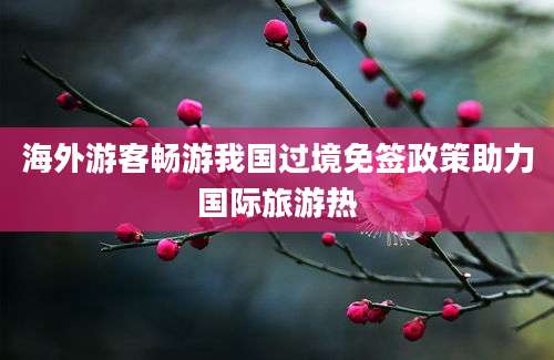 海外游客畅游我国过境免签政策助力国际旅游热
