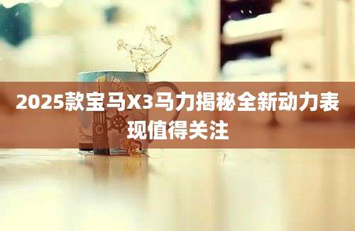 2025款宝马X3马力揭秘全新动力表现值得关注