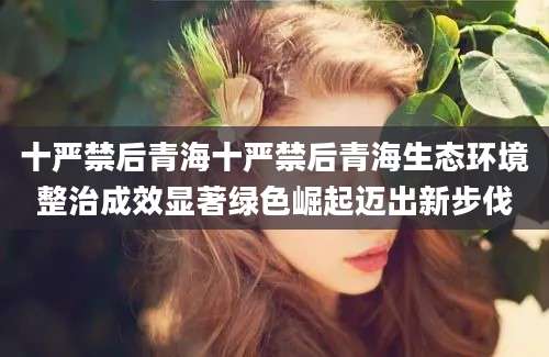 十严禁后青海十严禁后青海生态环境整治成效显著绿色崛起迈出新步伐