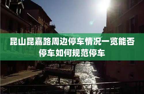昆山昆嘉路周边停车情况一览能否停车如何规范停车