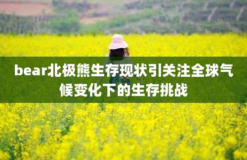 bear北极熊生存现状引关注全球气候变化下的生存挑战
