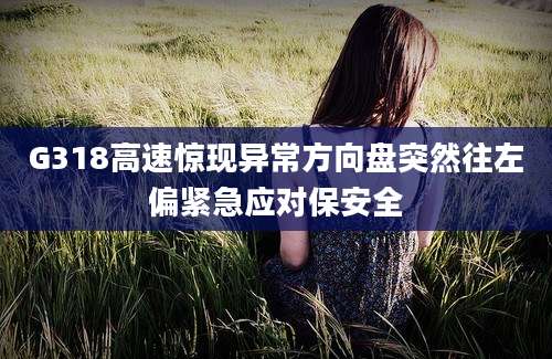 G318高速惊现异常方向盘突然往左偏紧急应对保安全